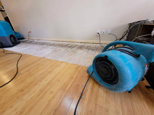 Professional Sewage Cleanup technician working in Babbitt, MN